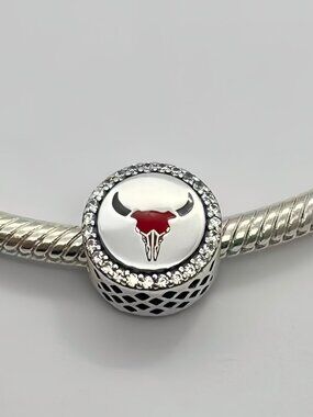 Pandora New Mexico exclusive charm